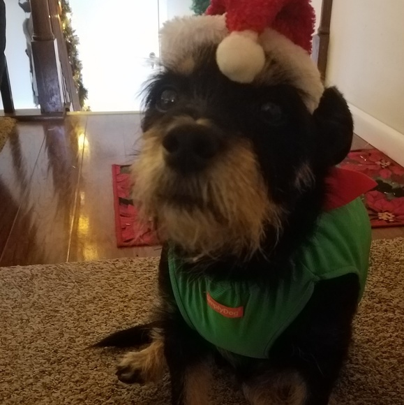 Meet your Posher, Shari. I believe in bundles - Picture 2 of 6